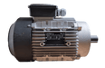 AM100L-2P Motor 5.5 kW for Mortar Pumps, 60Hz