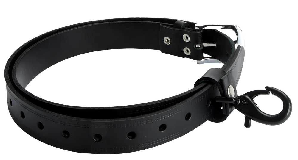 Retaining Strap with Carabiner for Motors