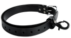 Retaining Strap with Carabiner for Motors