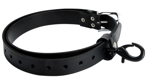 Retaining Strap with Carabiner for Motors